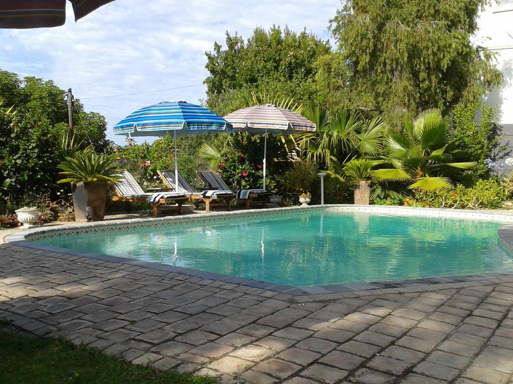 Aestas Bed & Breakfast Knysna Esterno foto