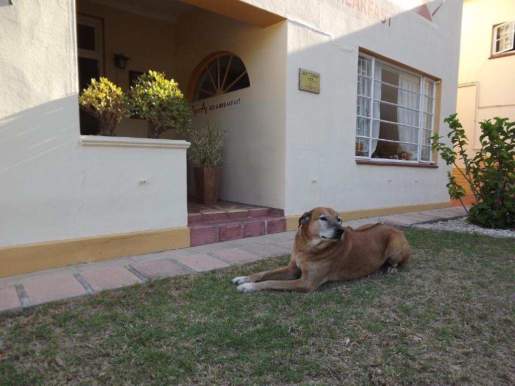 Aestas Bed & Breakfast Knysna Esterno foto